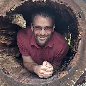 Daman inside of a hollowed-out tree